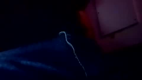 Snapshot of evocation514 chatting on February 2025 04:57:01 AM Evocation online show from February 2025 04:57:01 AM