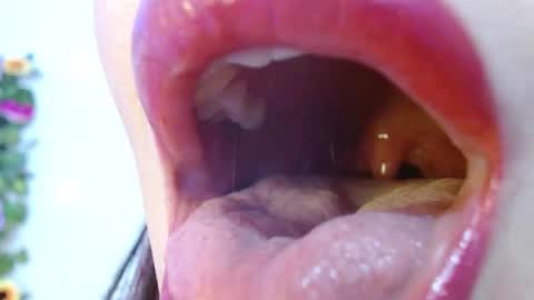 Snapshot of evolethmontenegros chatting on December 2024 09:03:01 AM Evoleth online show from December 2024 09:03:01 AM