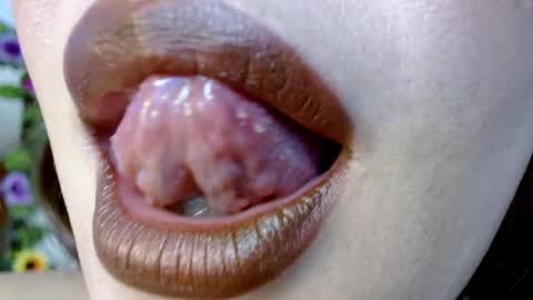 Snapshot of evolethmontenegros chatting on December 2024 02:27:02 AM Evoleth online show from December 2024 02:27:02 AM