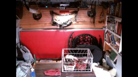 Snapshot of evpierce chatting on March 2026 04:24:02 AM EvPierce online show from March 2026 04:24:02 AM