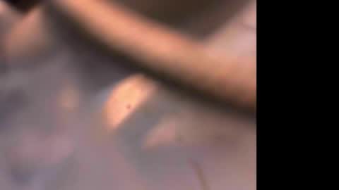 Exhibandvoyeur online show from October 2025 01:06:02 AM