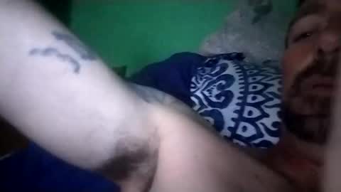 Snapshot of experttreecompany chatting on February 2026 07:51:01 AM experttreecompany online show from February 2026 07:51:01 AM