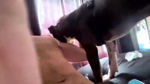 Snapshot of eyesonmichaza chatting on October 2025 04:28:01 PM MichazaXO online show from October 2025 04:28:01 PM