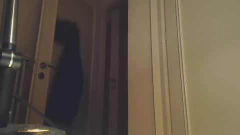 Snapshot of ezcoda chatting on January 2025 01:38:02 AM EZCODA online show from January 2025 01:38:02 AM