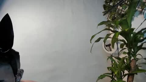 Snapshot of fabbermusic chatting on February 2026 07:51:01 AM Stiven Baby online show from February 2026 07:51:01 AM