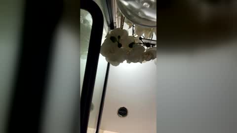 Snapshot of fabiolacal11 chatting on February 2026 05:52:01 AM fabiolacal11 online show from February 2026 05:52:01 AM