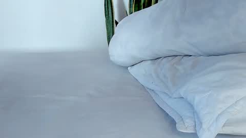 -  A N D E R online show from November 2025 07:57:02 PM