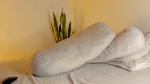 -  A N D E R online show from January 2026 11:10:01 PM