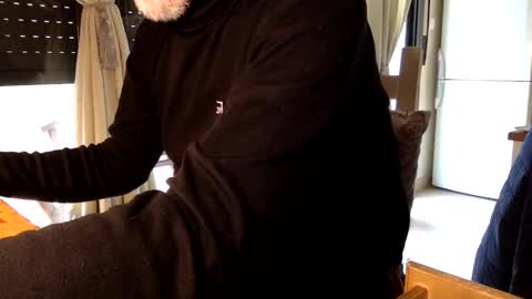 Fabro online show from February 2026 08:18:02 AM