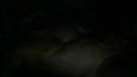 FABX online show from November 2025 10:31:02 PM