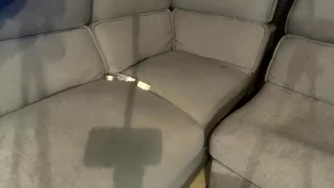 Snapshot of facesd chatting on February 2025 05:59:01 PM facesd online show from February 2025 05:59:01 PM