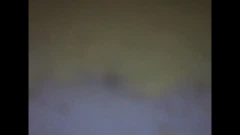 fafafa923 online show from January 2025 11:15:01 PM