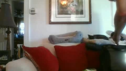 fairmount31 online show from January 2025 01:31:01 PM