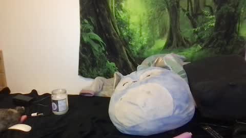 Snapshot of fairy_moan chatting on September 2025 07:47:02 PM fairy_moan online show from September 2025 07:47:02 PM