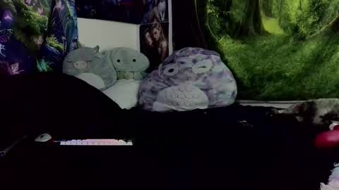 Snapshot of fairy_moan chatting on December 2025 03:45:02 AM fairy_moan online show from December 2025 03:45:02 AM