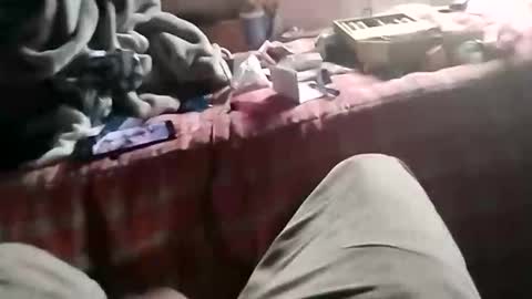 fallguyb1875150 online show from October 2025 11:33:01 AM