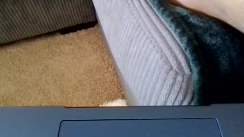 Caylenge online show from April 2026 04:23:01 PM