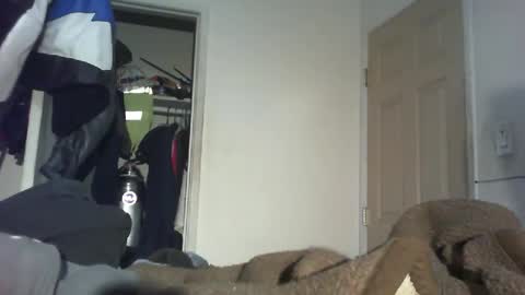 Snapshot of fastz06 chatting on December 2024 03:13:02 AM fastz06 online show from December 2024 03:13:02 AM