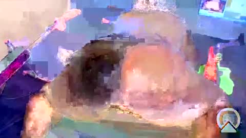 i like my pussy been toture online show from January 2025 05:58:02 AM