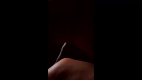 Justexploring online show from September 2025 10:27:01 AM