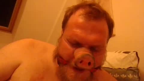 Snapshot of fckcbacc89 chatting on June 2026 01:30:02 AM Horny Fat Boy online show from June 2026 01:30:02 AM