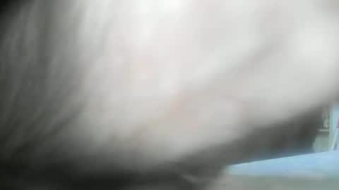 Snapshot of feardubh chatting on January 2025 09:34:01 AM feardubh online show from January 2025 09:34:01 AM