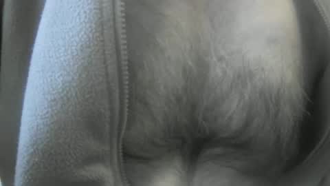 Snapshot of feardubh chatting on January 2025 03:53:02 PM feardubh online show from January 2025 03:53:02 PM