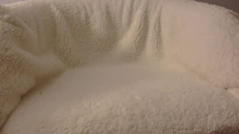 feels_too_good online show from April 2026 02:11:02 AM