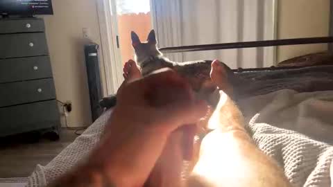 FEETOMINES online show from October 2025 03:57:02 PM