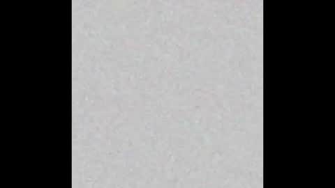 Snapshot of femboy_fangs chatting on December 2025 04:50:01 AM femboyfangs online show from December 2025 04:50:01 AM