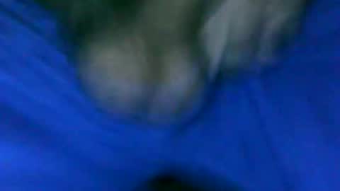 fer_2197 online show from January 2025 01:24:02 PM