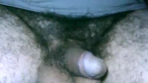 fer_2197 online show from February 2025 12:27:01 PM