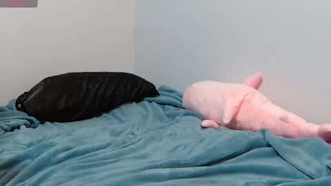 Snapshot of feralasf chatting on January 2025 06:39:01 AM FE fee online show from January 2025 06:39:01 AM