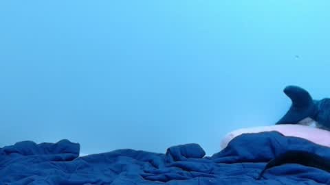 Snapshot of feralasf chatting on February 2025 02:09:02 AM FE fee online show from February 2025 02:09:02 AM