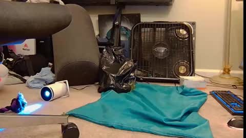 Snapshot of feralasf chatting on October 2025 06:00:02 AM FE fee online show from October 2025 06:00:02 AM