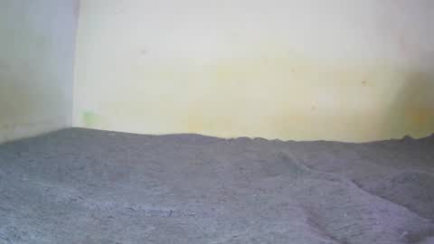 Snapshot of fernando_tlk chatting on December 2024 07:17:02 PM Fern Tlk online show from December 2024 07:17:02 PM