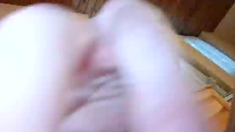 fhn0406 online show from August 2026 04:56:02 PM