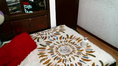 Snapshot of fierywoman158 chatting on January 2025 10:24:01 PM FIERYWOMAN online show from January 2025 10:24:01 PM