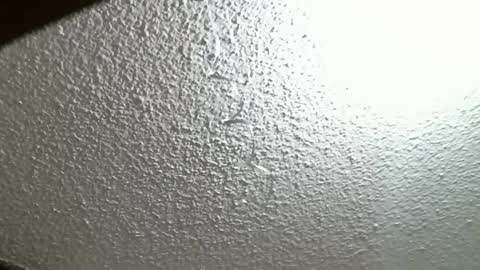 Snapshot of fierywoman158 chatting on October 2025 04:26:01 PM FIERYWOMAN online show from October 2025 04:26:01 PM