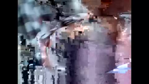 fifipan online show from May 2026 03:56:01 AM