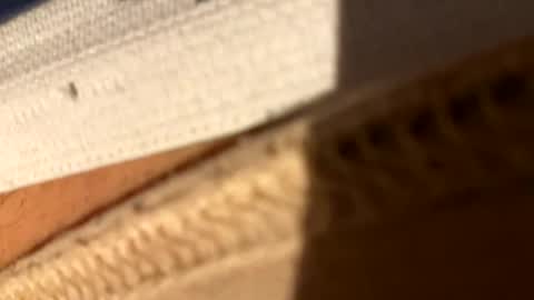 Snapshot of fiksok chatting on April 2026 01:00:01 AM Fiksok online show from April 2026 01:00:01 AM