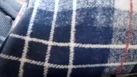 Snapshot of filthyskanktrollop chatting on November 2025 04:41:01 PM filthyskanktrollop online show from November 2025 04:41:01 PM