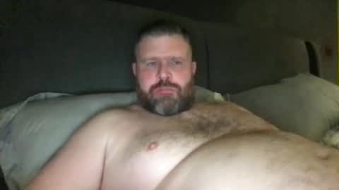 fin bear dom online show from November 2025 02:00:02 AM