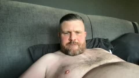 fin bear dom online show from April 2026 11:57:01 AM