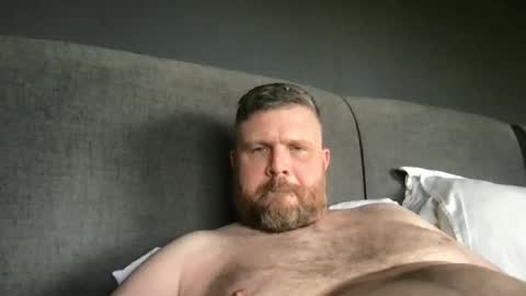 fin bear dom online show from May 2026 04:11:02 PM