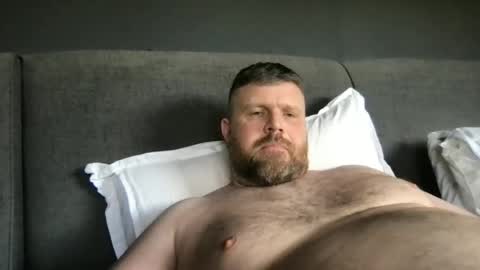 fin bear dom online show from May 2026 02:23:01 PM