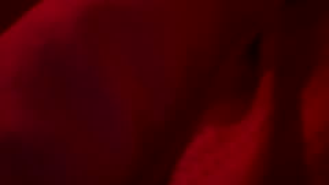 FirstTimeFeak online show from May 2026 07:46:02 AM