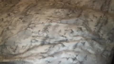 FitCollegeStudxx online show from February 2025 03:42:01 AM