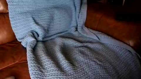 fitstevie1 online show from January 2025 11:27:01 PM