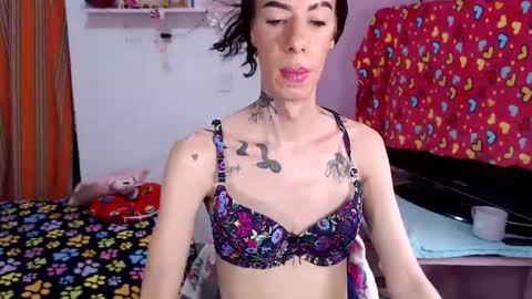 flats23cm online show from May 2026 07:56:01 PM